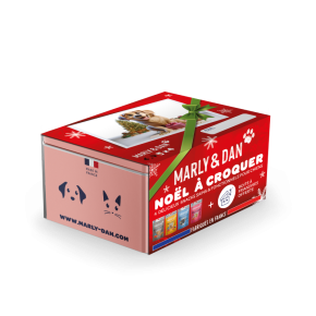 Coffret Noël pour chien - Marly & Dan