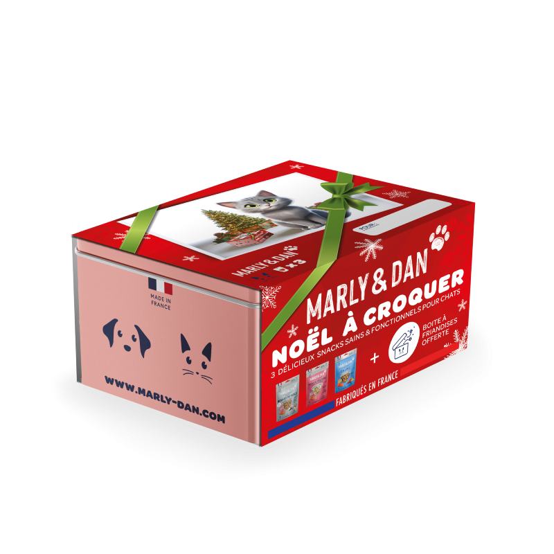 Coffret Noël pour chat - Marly & Dan