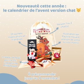 Mon calendrier de l'Avent pour chat(s)
