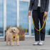 Laisse Classic Freestyle™ Taille S pour Chien – 200 cm × 1,6 cm – DOG Copenhagen