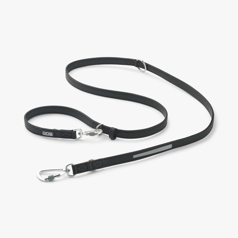 Laisse Classic Freestyle™ 2 m Taille L pour Chien – 200 cm x 2 cm – DOG Copenhagen