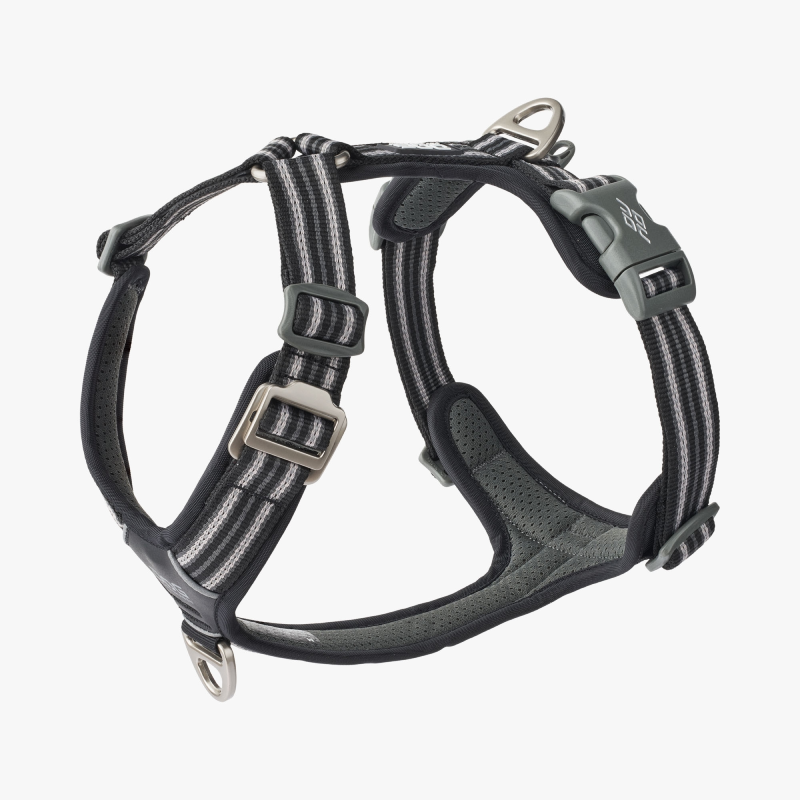 Harnais Comfort Walk Air™ pour Chien – DOG Copenhagen