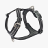 Harnais Comfort Walk Air™ pour Chien – DOG Copenhagen