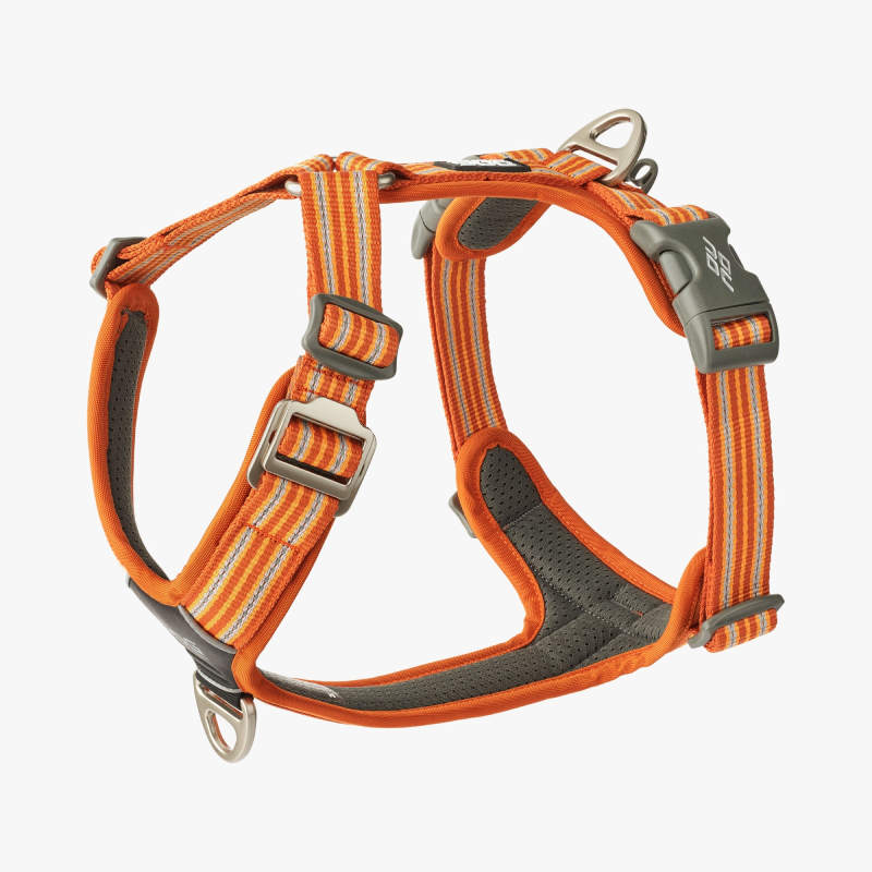 Harnais Comfort Walk Air™ pour Chien – DOG Copenhagen