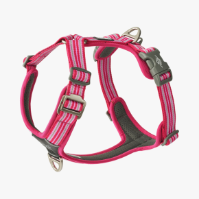 Harnais Comfort Walk Air™ pour Chien – DOG Copenhagen