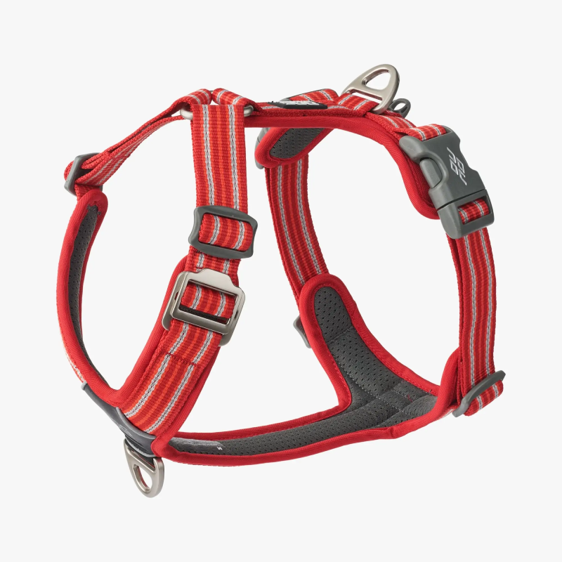 Harnais Comfort Walk Air™ pour Chien – DOG Copenhagen