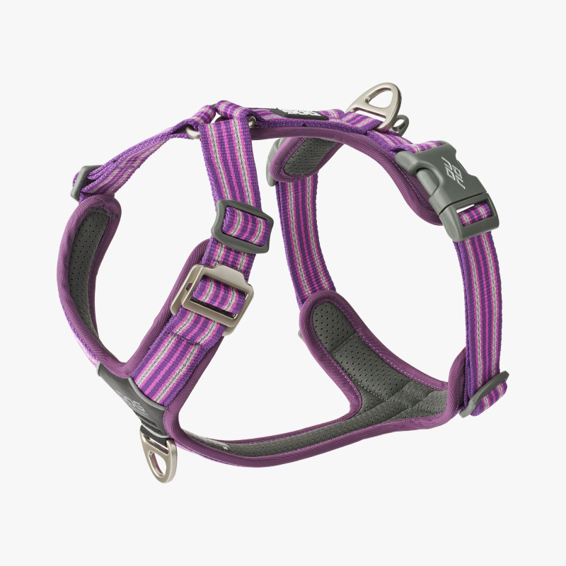 Harnais Comfort Walk Air™ pour Chien – DOG Copenhagen