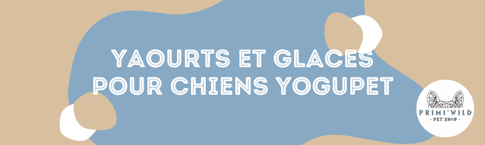 Yaourts et glaces pour chien Yogupet